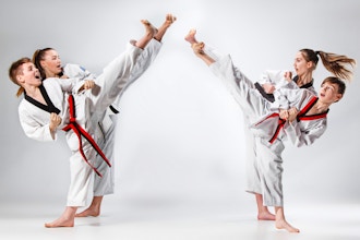 Tae Kwon Do Beginner (Ages 8-12)